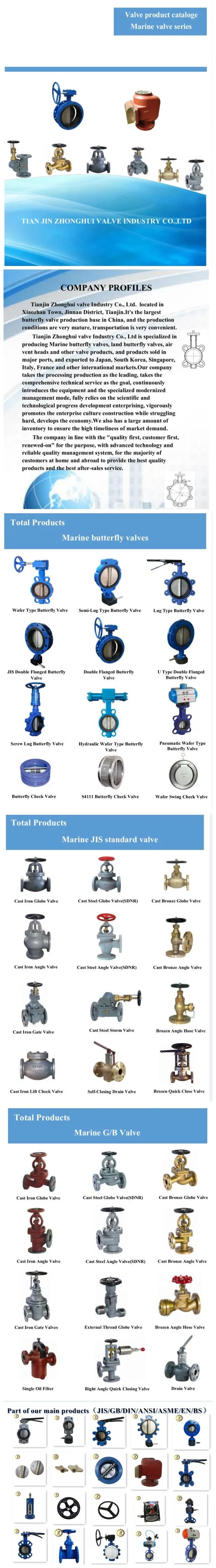 Ductile Iron Cast Steel Body SS304 Butterfly Check Valve