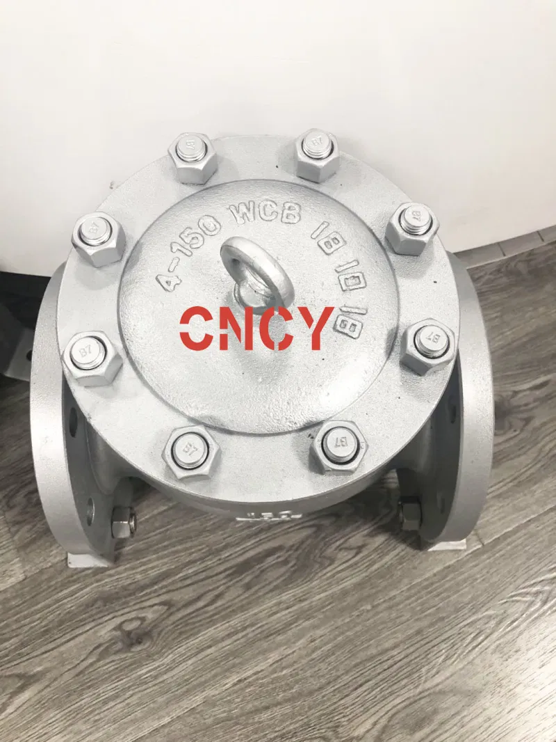 DIN Wcb Pn16 DN125 Carbon Steel No Return Valve Hot Sale