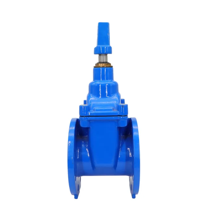 Di DIN F4, F5 Flanged Resilient Seated Gate Valve Short Pattern