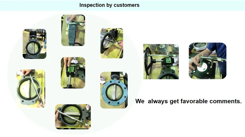 Concentric Industrial Worm Gear CF8 Disc Di Semi-Lug Butterfly Valve