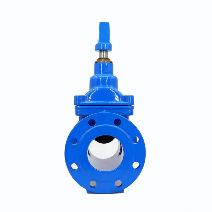 Di DIN F4, F5 Flanged Resilient Seated Gate Valve Short Pattern