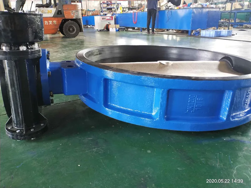 Di DN1200 Wafer Butterfly Valve with EPDM Seat and Gear Box