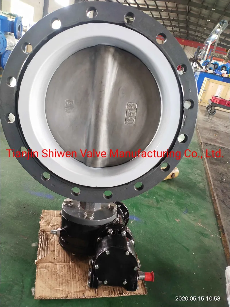 Ductile Iron/Wcb/CF8 Flange Type Butterfly Valve with EPDM/PTFE Seat