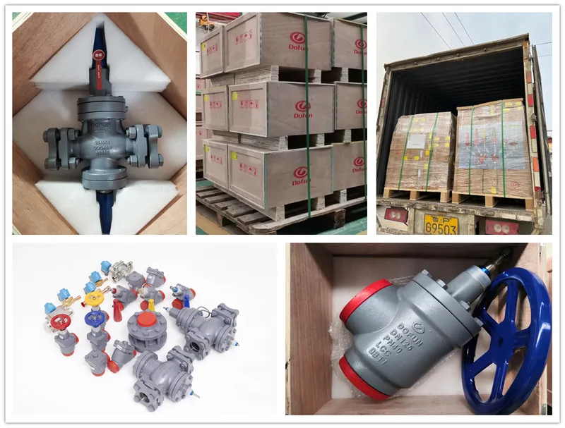 Cold Storage Ammonia Refrigeration Angle Stop Valve