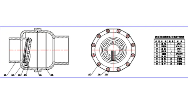 DIN Standard CPVC Check Valve with Swing