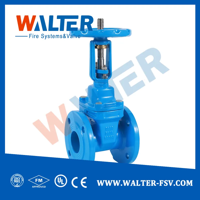 DIN Pn16 F4 Gate Valve Resilient Seat with Flange End