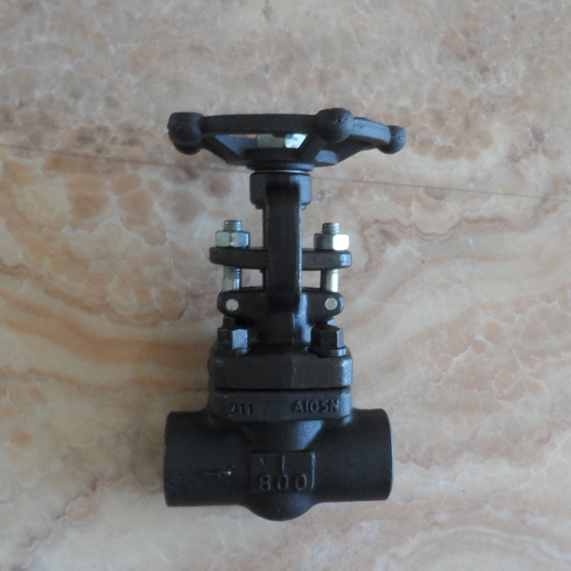 DN50-DN300 800lb Forged Steel Flanged Globe Valve Angle Valve NPT Valve Knife Gate Valve Nrv Valve