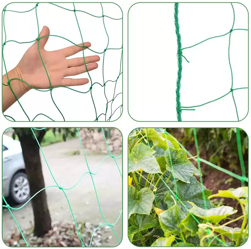 Cucumber, Bitter Gourd Netting Climbing Plant Support Trellis Netting