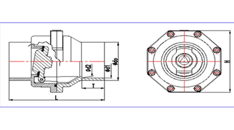 DIN Standard CPVC Check Valve with Swing