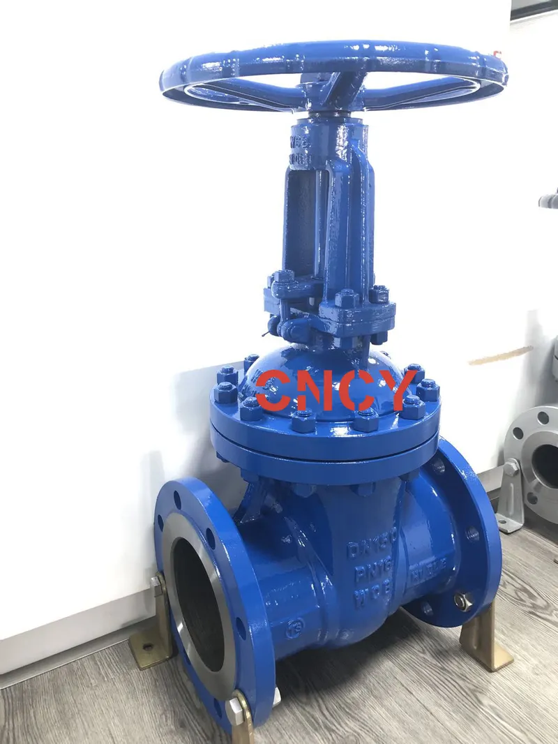 DIN Wcb F5 Series Outside Gate Valve Manufacturer