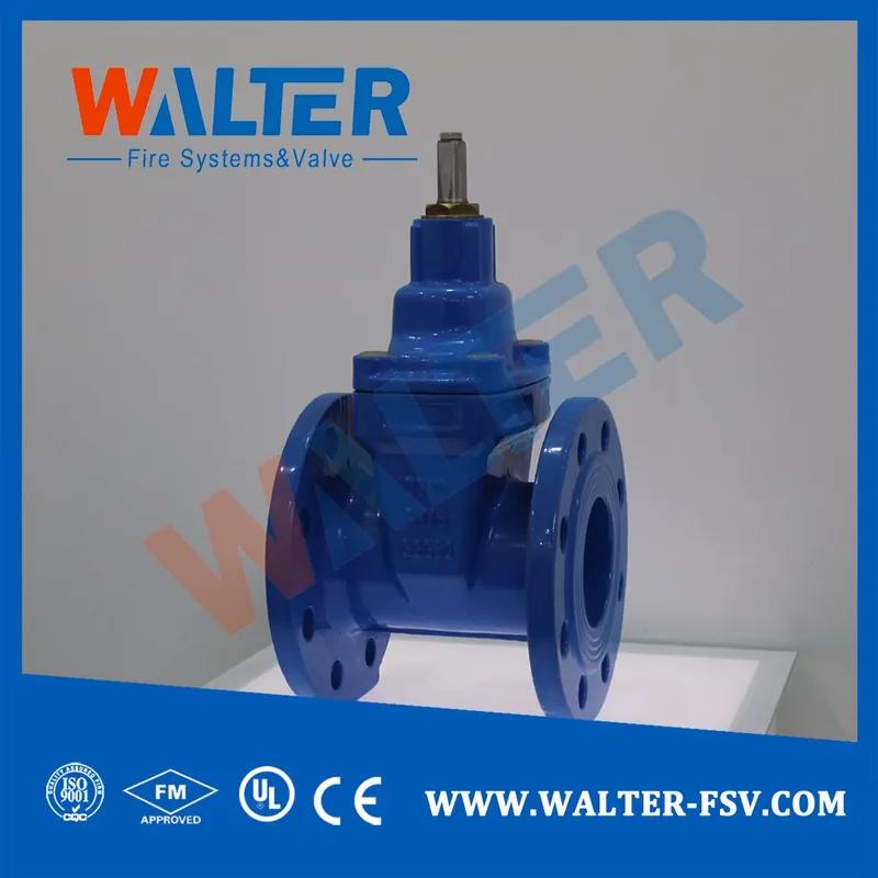 Resilient Seat Nrs Gate Valve