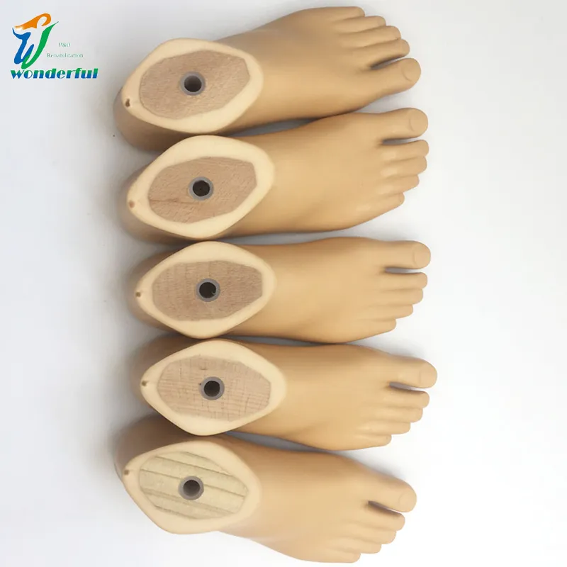 Artificial Foot Prosthetic Polyurethane Sach Foot with Wood Core