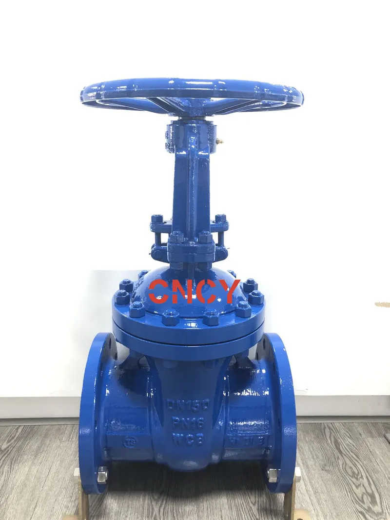 DIN Wcb F5 Series Outside Gate Valve Manufacturer