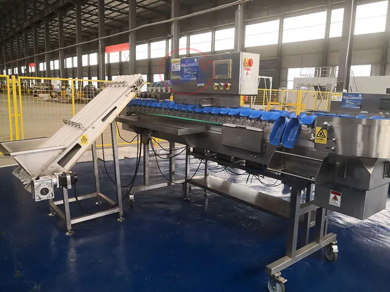 Prawn Weight Checking Sorting Grading Machines