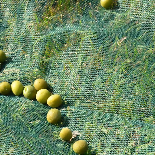 Plastic Olive Harvest Fruit Catching Net