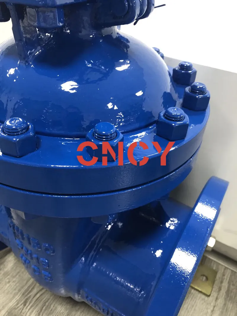 DIN Wcb F5 Series Outside Gate Valve Manufacturer