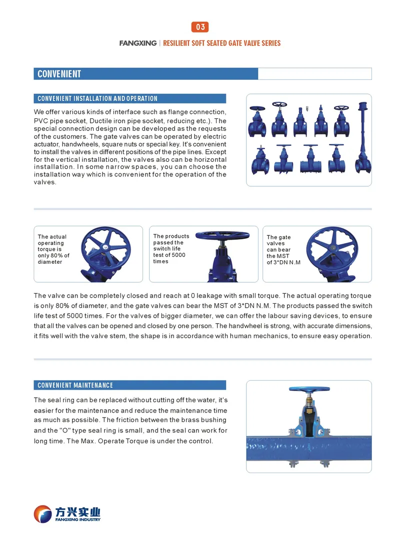 DIN3352 F5 Soft Seat Gate Valve