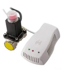 High Good Quality Gas Detector Alarm with Valve