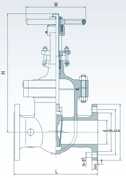 Stainless Steel DIN Flanged Gate Valve (PN16/PN40)