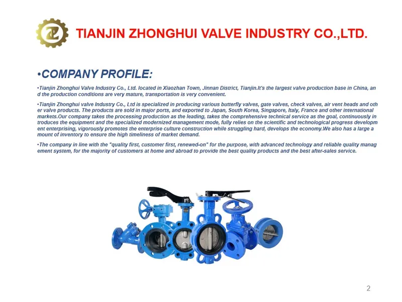 Pn16 DN200 EPDM Seat Di Semi-Lug Butterfly Valve