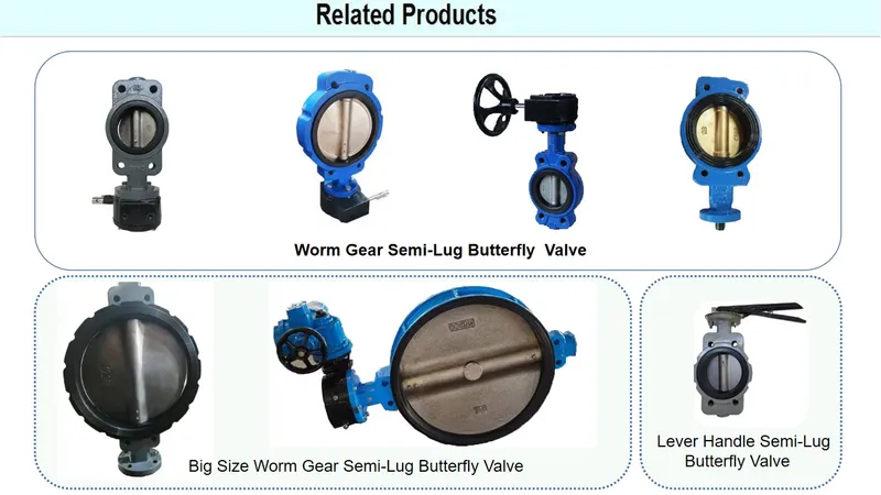 Concentric Industrial Worm Gear CF8 Disc Di Semi-Lug Butterfly Valve