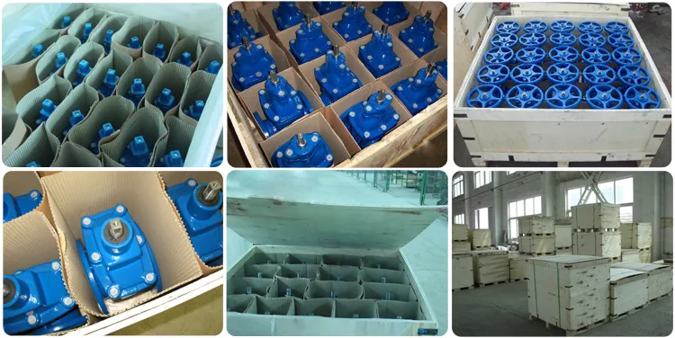 China Cast Iron Resilient Seat Nrs Gate Valve