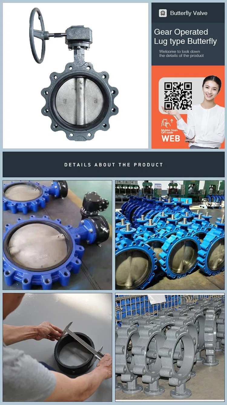 DN500 Cast Iron Carbon Steel Lug Wafer Type Butterfly Valve