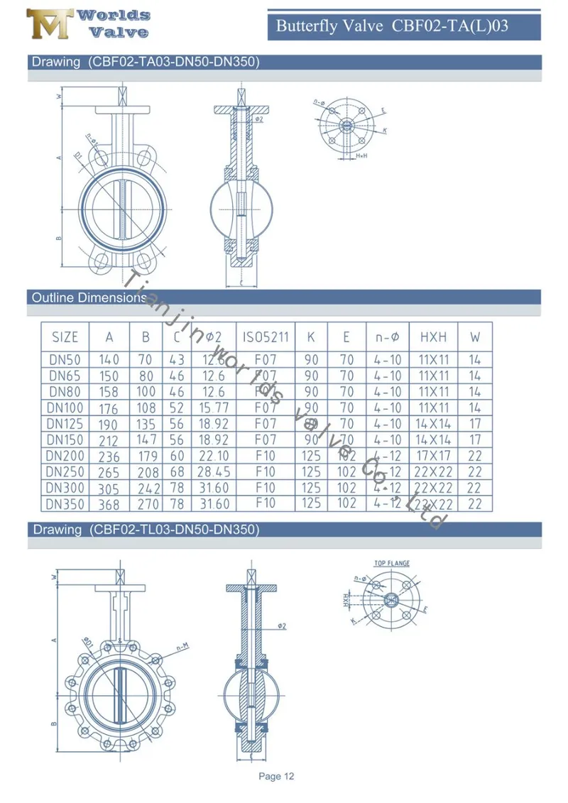 Nylon 11 Coated DIN/ANSI/API Wafer Type Butterfly Valve with Tongue Grooved Seat