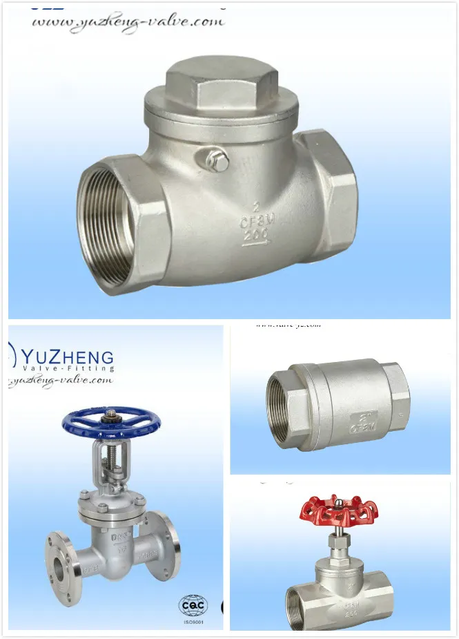 Ss 304/316 API Swing Check Valve