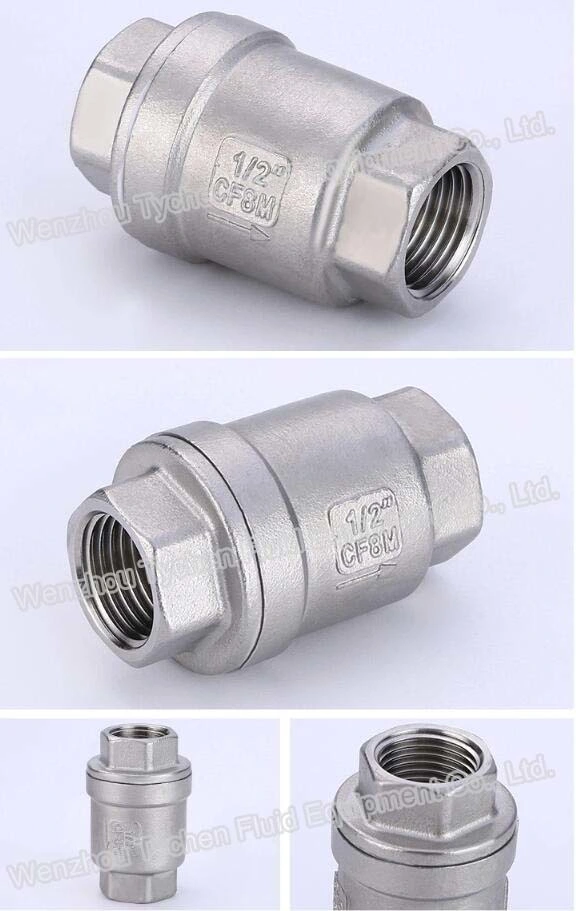 Spring Vertical Check Valve Non-Return Check Valve