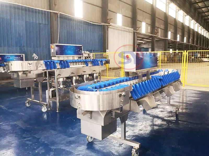 Prawn Weight Checking Sorting Grading Machines