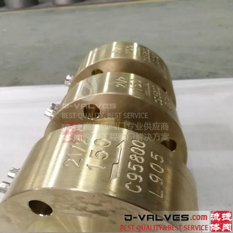 Nickel Aluminum Bronze Lug Check Valve