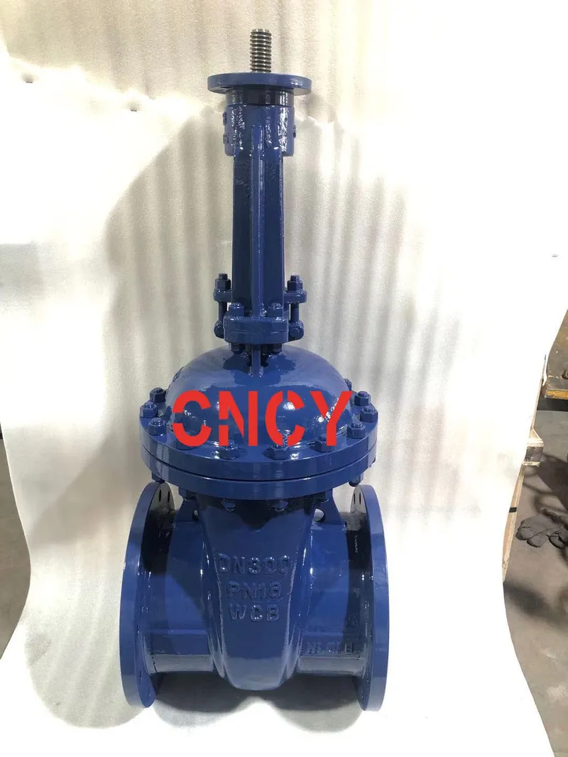 DIN Wcb F5 Series Outside Gate Valve Manufacturer