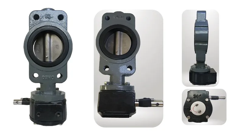 Concentric Industrial Worm Gear CF8 Disc Di Semi-Lug Butterfly Valve