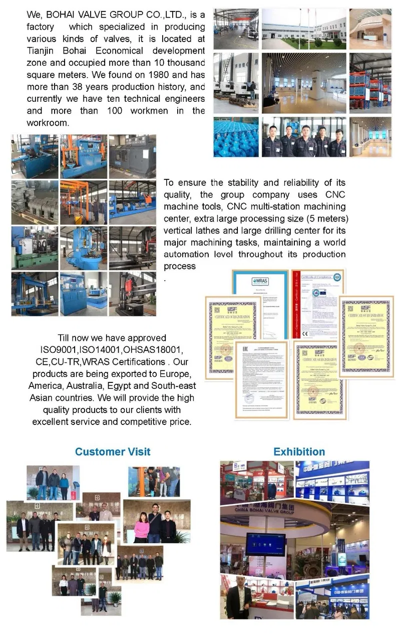 Bohai Valve Group Manual Wafer Butterfly Valve with Certifications