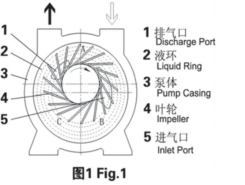 2bea203 Water Ring Vacuum Pump /Vacuum Pump