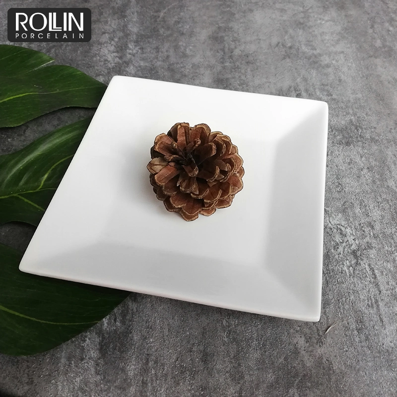 Factory Directly Supply Small Porcelain Dish Dessert Dish