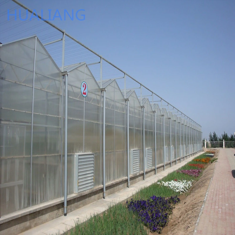 PC Sheet Tomato Polycarbonate Greenhouse Application and Large Size Polycarbonate Greenhouse