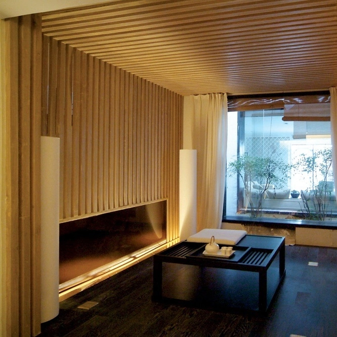 Chic Elegant Environmental Friendly Protection WPC Wall Panel