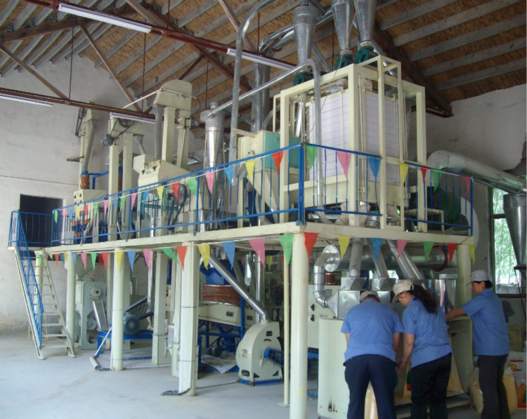 Corn Flour Mill in West Africa for 50ton Per Day Capacity
