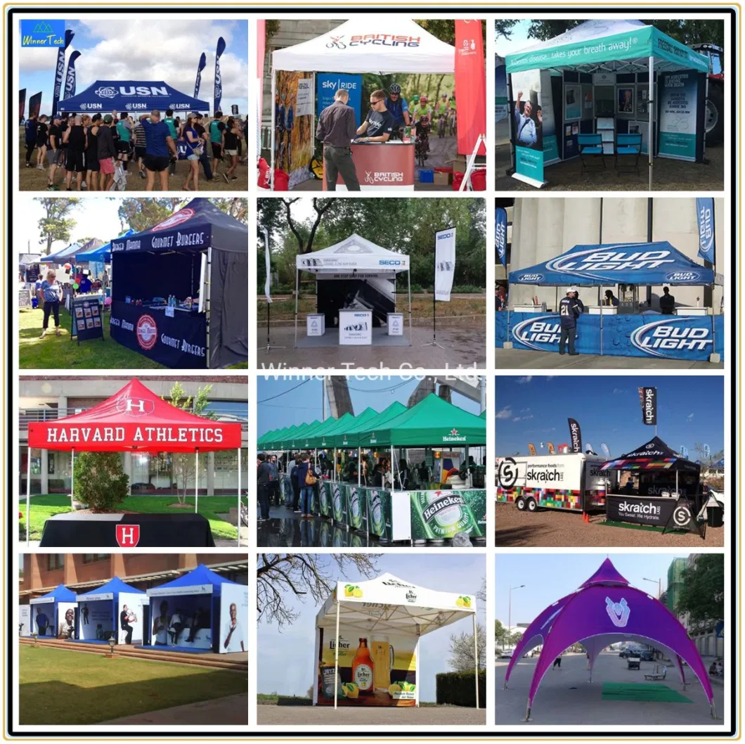 Customized Design Pop up Canopy Tent, Folding Portable Canopy Beach Tent-W00035