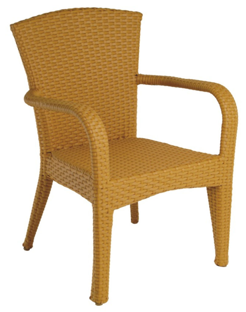 Fashion Design Outdoor Garden Wicker Wood Dining Chair
