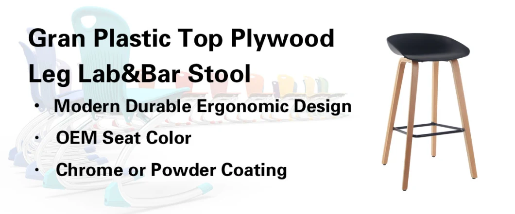 Gran Seat Plywood Feet Bar and Lab School Polypropylene Stools