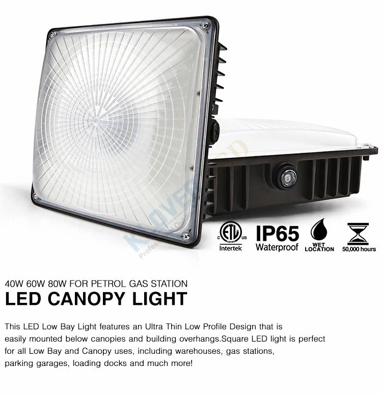 Waterproof IP65 Ik08 Surface Mounted Canopy LED Light 100W 120W LED Canopy Light for Gas Station