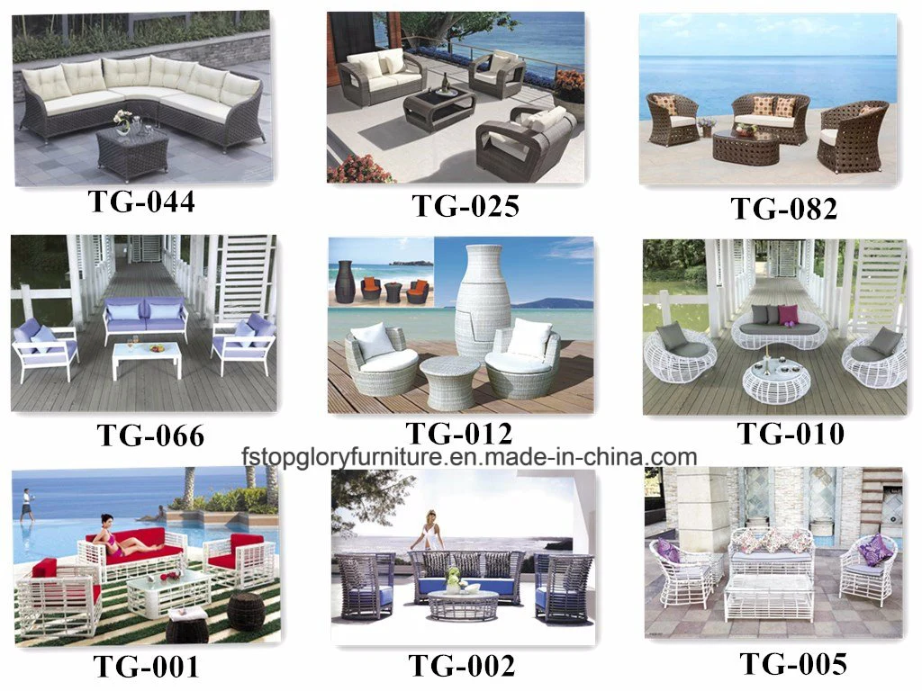 Top Quality New Design Outdoor Double Patio Sun Lounge Aluminum Lounge (TG-6001)