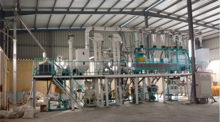 Corn Flour Mill in West Africa for 50ton Per Day Capacity