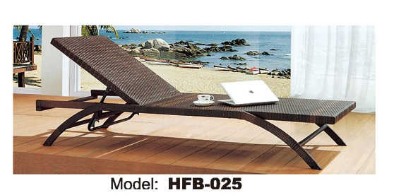 Top Quality New Design Outdoor Double Patio Sun Lounge Aluminum Lounge (TG-6001)