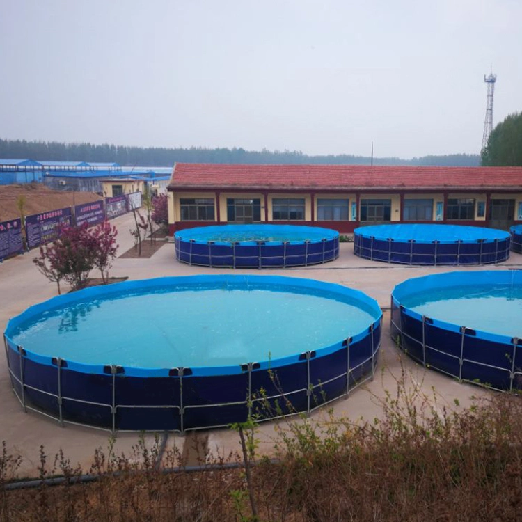 Foldable Fish Farming Tank Fish Pond, New Products Outdoor Fish Pool Swimming Pool