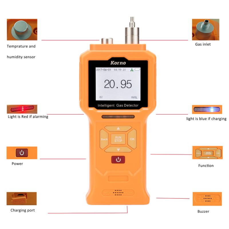 CH3Br Hand-Hold Methyl Bromide Gas Detector with Semiconductor Sensor