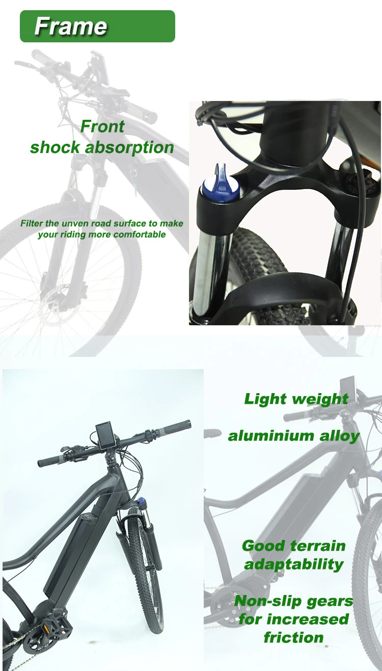 Competitive Price 2 Warranty Years 350W 500W MID Drive Electric Bike with Torque Sensor